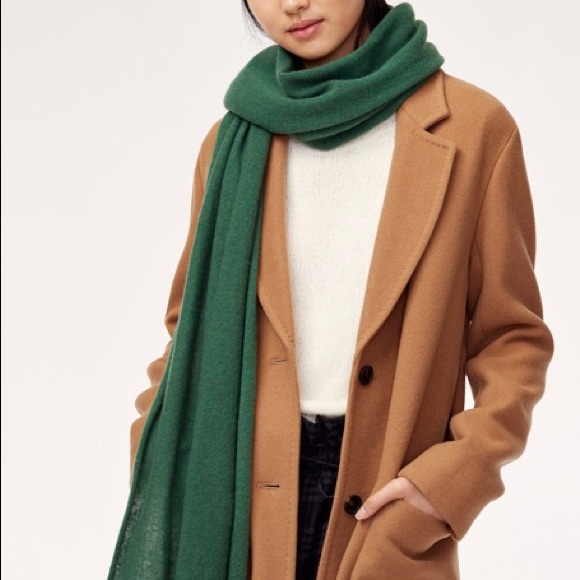 Aritzia Other - Auxiliary Cashmere Scarf